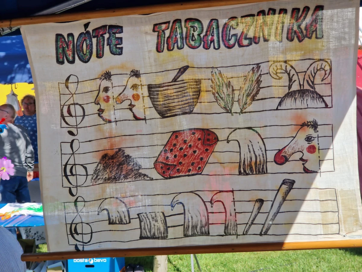Zdjęcie