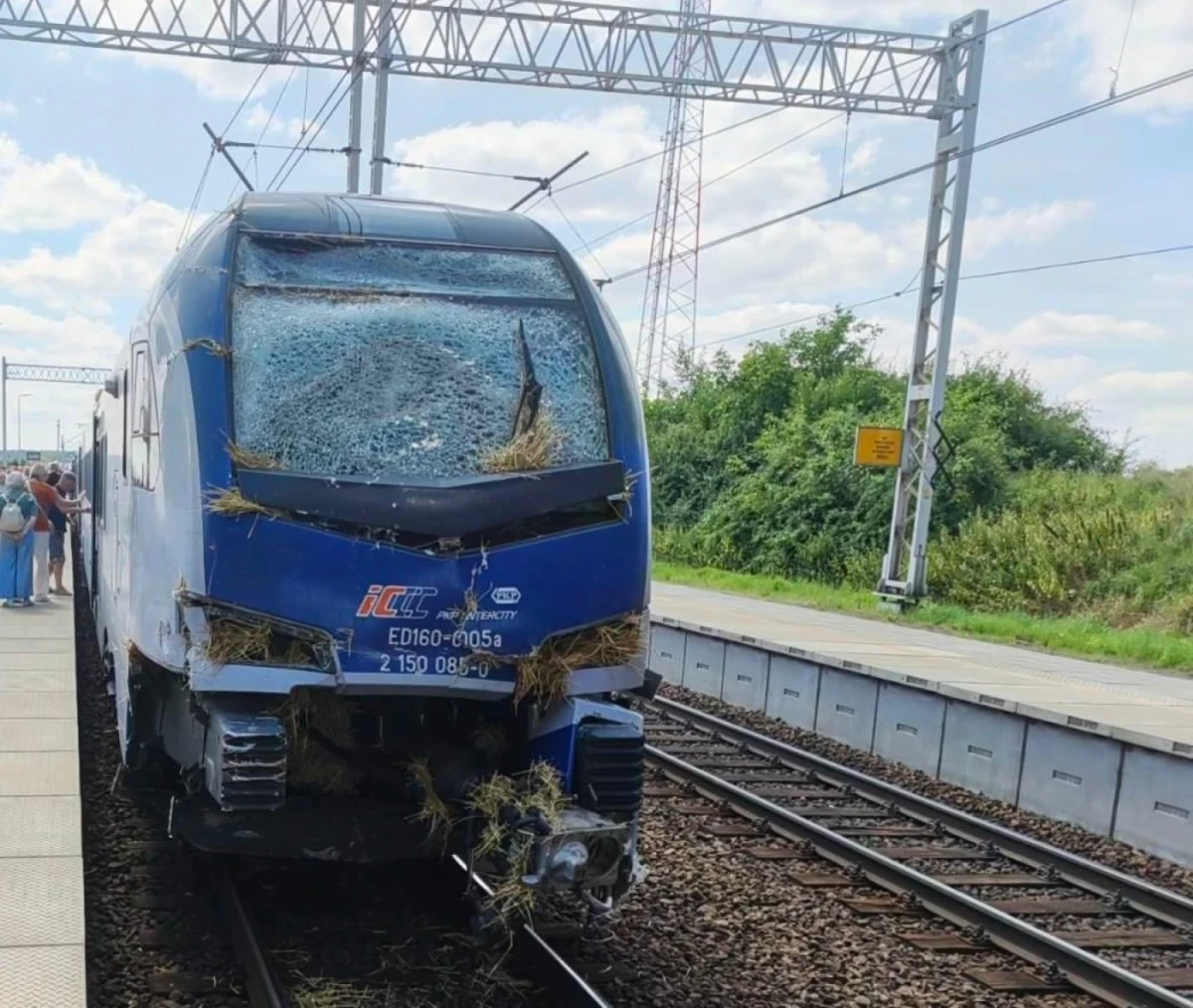Zdjęcie