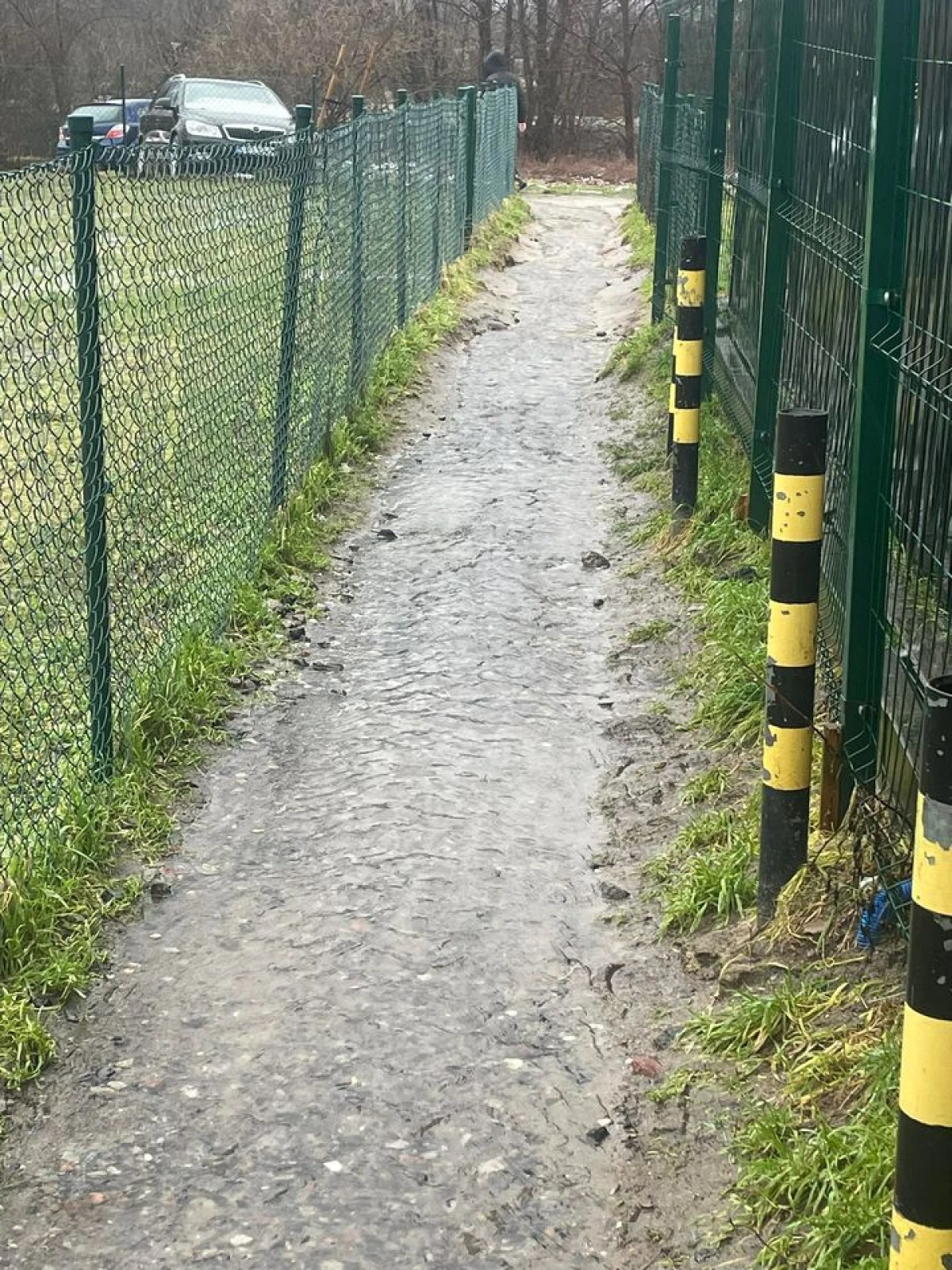 Zdjęcie