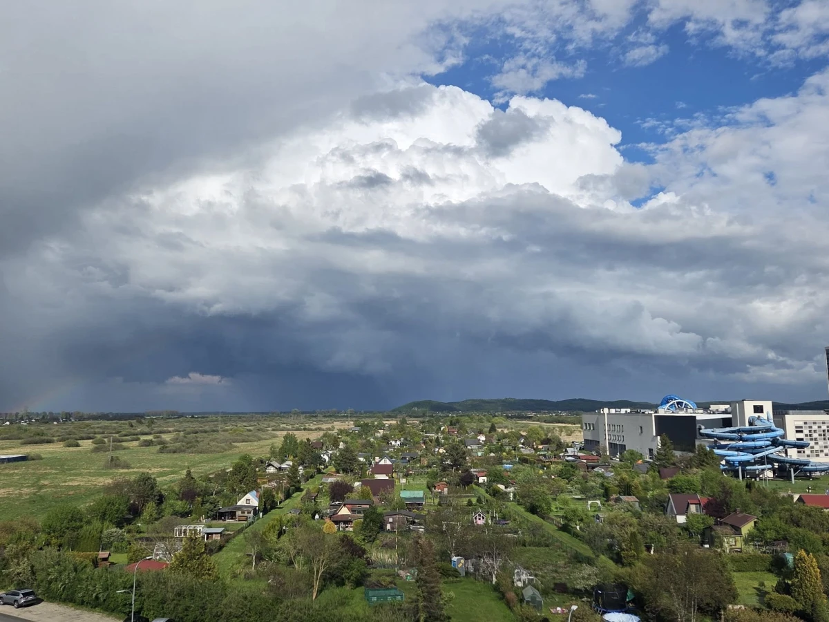 Zdjęcie