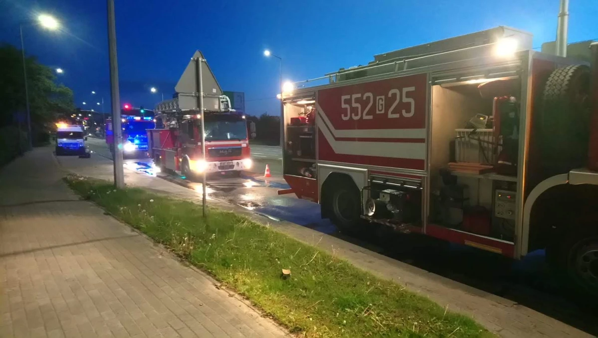 Zdjęcie
