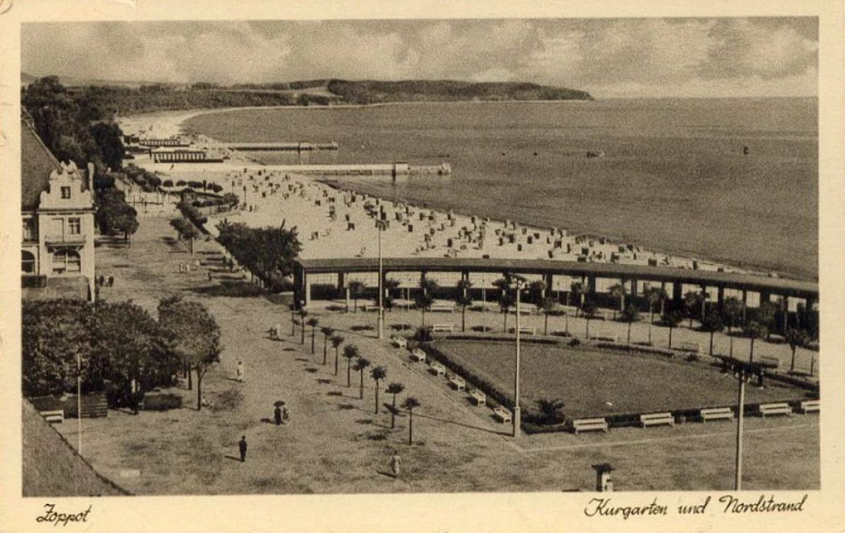 Zdjęcie