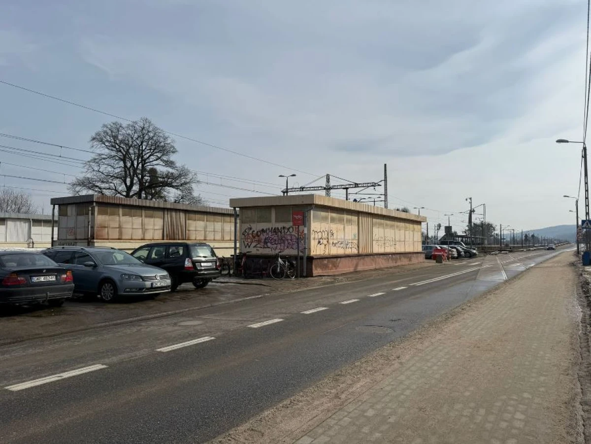 Zdjęcie