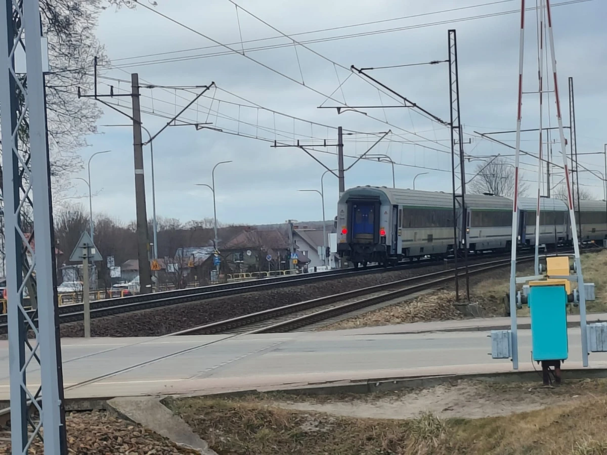 Zdjęcie