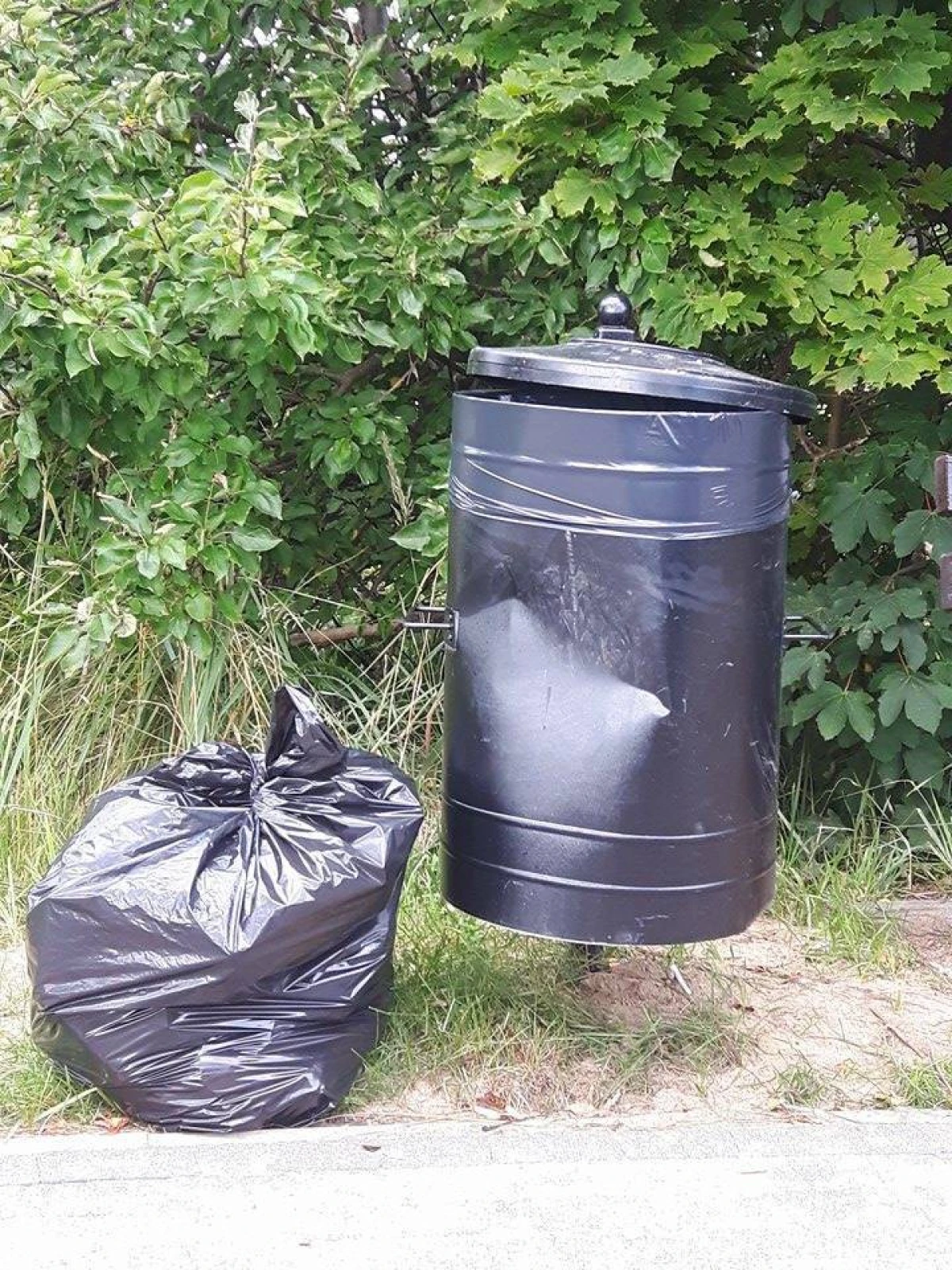 Zdjęcie