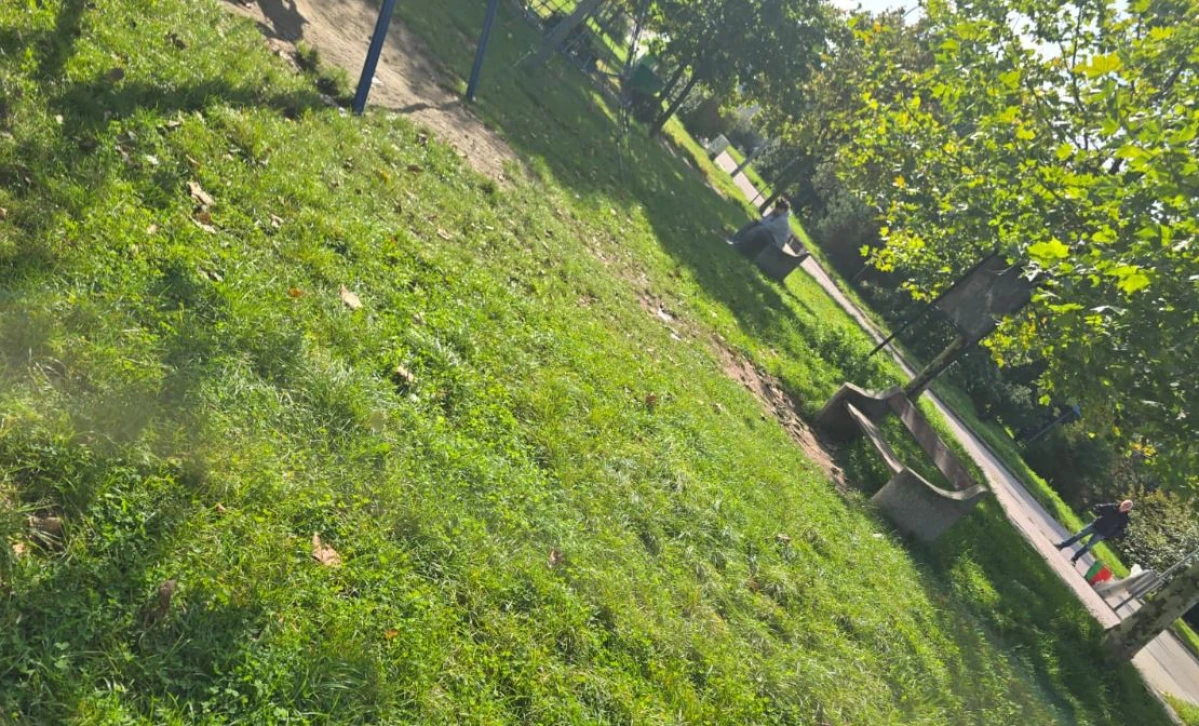 Zdjęcie