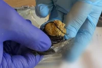 Narkotyki ukryte między szkolnymi notatkami. Sprawą zajmie się sąd rodzinny