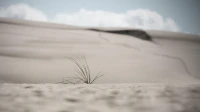10 miejsc w Polsce, które udowadniają, że nie trzeba lecieć za granicę, by przeżyć niezapomniane wakacje