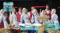 Swaty, konny drużba i uczta z czarniną. O tradycjach weselnych na Kaszubach w "Szumistoriach"