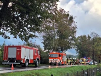 Audi uderzyło w drzewo. 44-latek trafił do szpitala