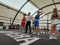 Dni Redy z mocnym akcentem sportowym. Gala boksu przyciągnęła kibiców