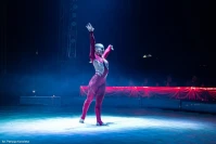 Akrobacje bez zabezpieczenia i show dla całych rodzin. Cyrk Arena już w trasie