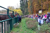 Tajemnicza kryjówka kłusownika w gdańskim zoo. Uczestnicy będą mieli tylko godzinę na uratowanie zwierząt!