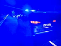 Sarna wbiegła na drogę. Doszło do zderzenia z samochodem