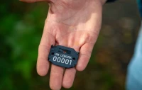 Drzewa dostają swoje numery. Park Chrobrego przygotowuje się do zmian