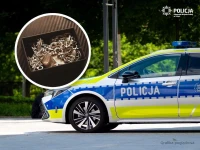 Miał popychać kobietę i zrywać jej biżuterię. 34-latkowi grozi 15 lat