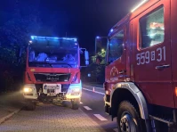 Samochód stanął w ogniu. Strażacy w akcji