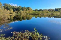 Torfowiska, bagna i mokradła pod lepszą ochroną