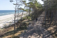 Nowy odcinek szlaku rowerowego nad Bałtykiem. Powodem zmiany budowa elektrowni jądrowej