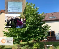 Nie oddaje się człowieka. Siedziba założonego przez ks. Kaczkowskiego Hospicjum obchodzi ważną rocznicę 