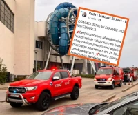 Miasto wydało nowe oświadczenie po śmierci rekinów