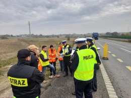 Karambol na S7. Specjalna komisja sprawdziła infrastrukturę oraz oznakowanie drogi