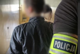 Zaatakowała samochód. Agresywna mieszkanka Tczewa