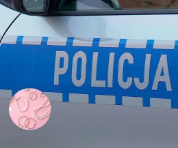 Gdańsk: Miała sprzątać mieszkanie, a 'sprzątnęła'  biżuterię