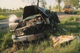 Wejherowo: Pijany 15-latek spowodował wypadek. Zobacz zdjęcia