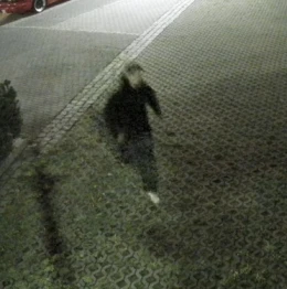  Rozpoznajesz kobietę i mężczyznę? Mogą mieć związek ze zniszczeniem dwóch pojazdów
