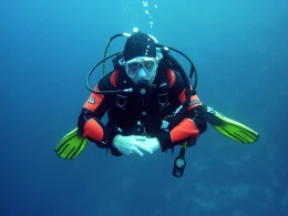 Ruszył projekt rewildingu w Zatoce Puckiej. "Jest czymś więcej niż ochroną"