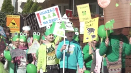 Wejherowscy uczniowie na ratunek żabom. Akcja na Osiedlu Fenikowskiego 