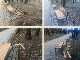 Wandale w Miejskim Parku we Władysławowie namierzeni! Policjantka ustaliła sprawców