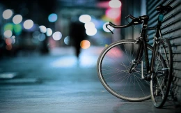 Rowerowa eskapada braci zakończona mandatami
