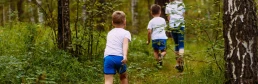 Lato w lesie? Tak, ale z głową. Oto zasady bezpiecznego wypoczynku