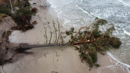 Sztorm uderzył z pełną mocą. Plaża nie do poznania  
