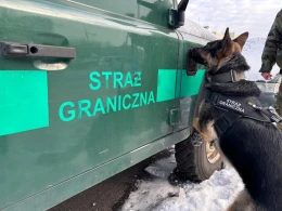 Szkolenie na czterech łapach. Ćwiczyli reakcje na strzały 