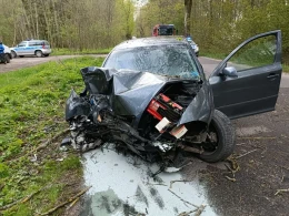 Uderzyli w drzewo. Mężczyzna był zakleszczony w aucie 