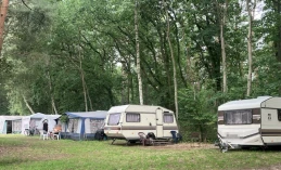 Karwieńskie Błota. Agresywny pies zaatakował kobietę na campingu. 34-latka broniła dzieci