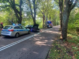 W Kostkowie osobówka uderzyła w przydrożne drzewo. Policja podała wstępne ustalenia