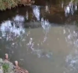 Zanieczyszczona rzeka przy oczyszczalni w Luzinie [WIDEO]