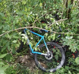 Zatrzymali złodziejkę rowerów. Grodzi jej do 5 lat więzienia