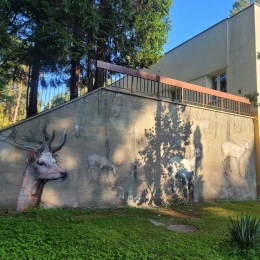 Białe daniele ponownie uwiecznione. Kolejny mural na wejherowskim szpitalu