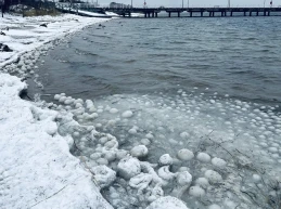 Zaskakujące odkrycie! Tajemnicze białe kule na plaży