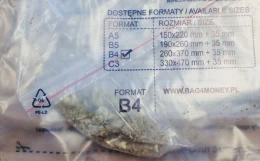 Narkotyki w kieszeni i pod fotelem