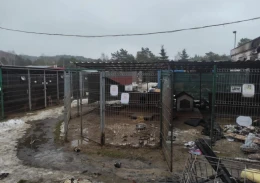 Pożar w schronisku. Zginęło niemal 30 zwierząt! [AKTUALIZACJA]