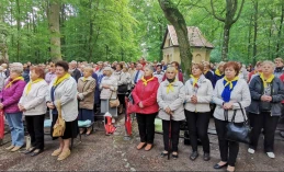 Nadzieja, modlitwa i uzdrowienie. Wejherowo zaprasza na Odpust NMP Uzdrowienia Chorych