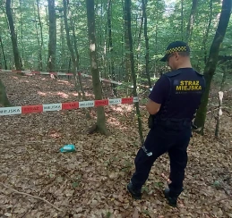 Niebezpieczne znalezisko. Było oparte o drzewo
