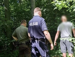 Nielegalna wycinka ujawniona w lesie. Trzej mężczyźni usłyszą zarzuty