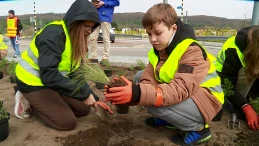 Na Węźle Zryw w Wejherowie powstało kwietne rondo. Wybór roślin nie był przypadkowy